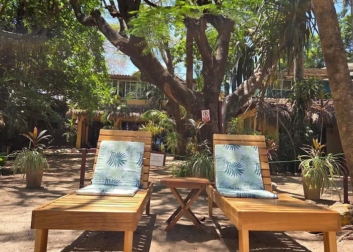 Hotel La Palapa