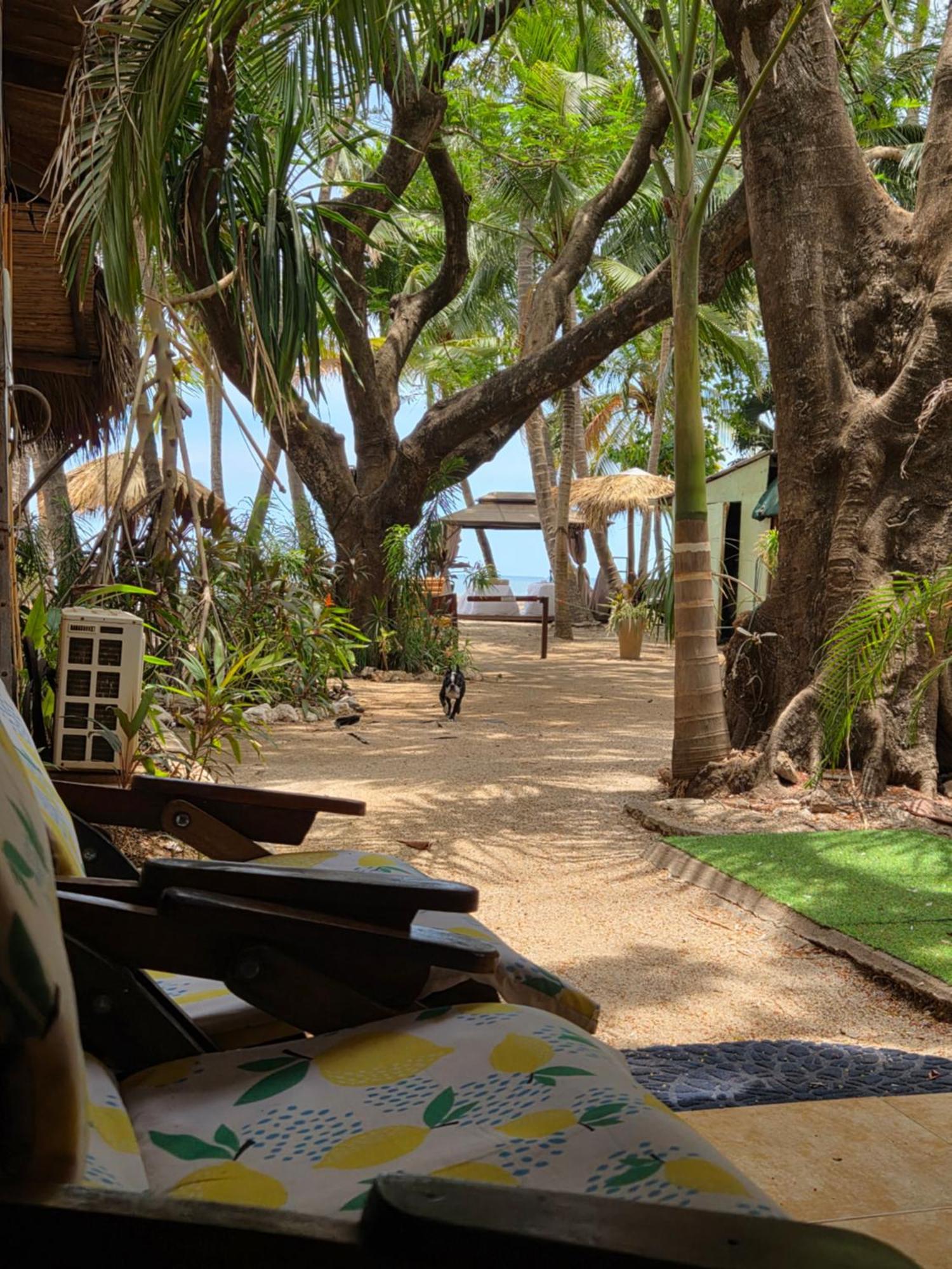 La Palapa Hotel 3*