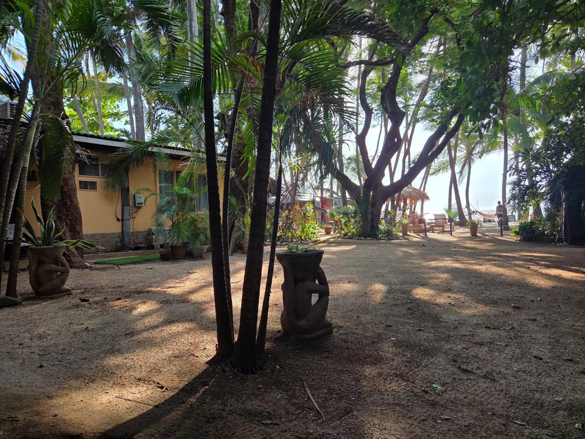 La Palapa 3*