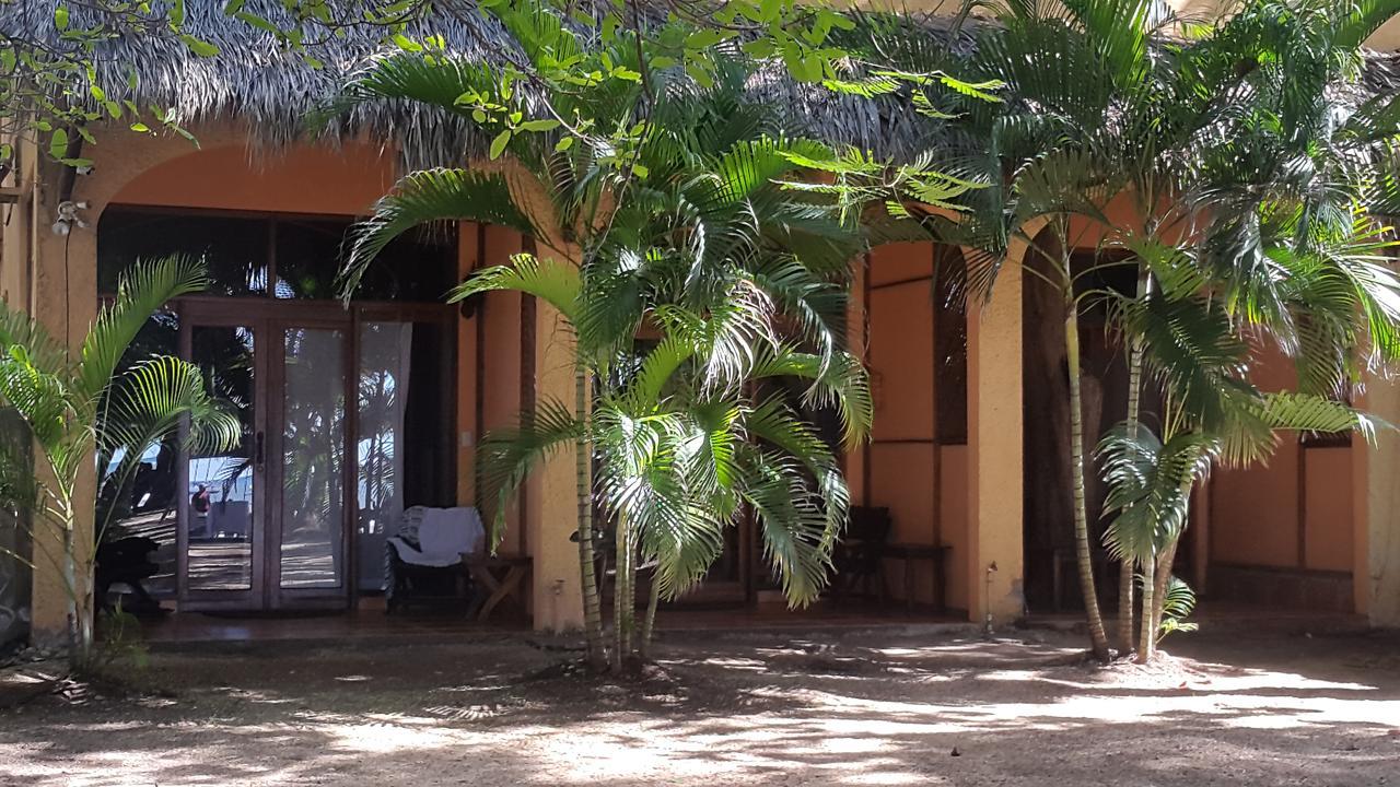 La Palapa 3*