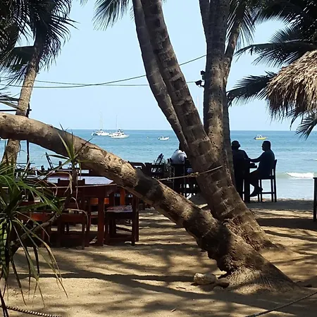 Hotel La Palapa Tamarindo Room photo