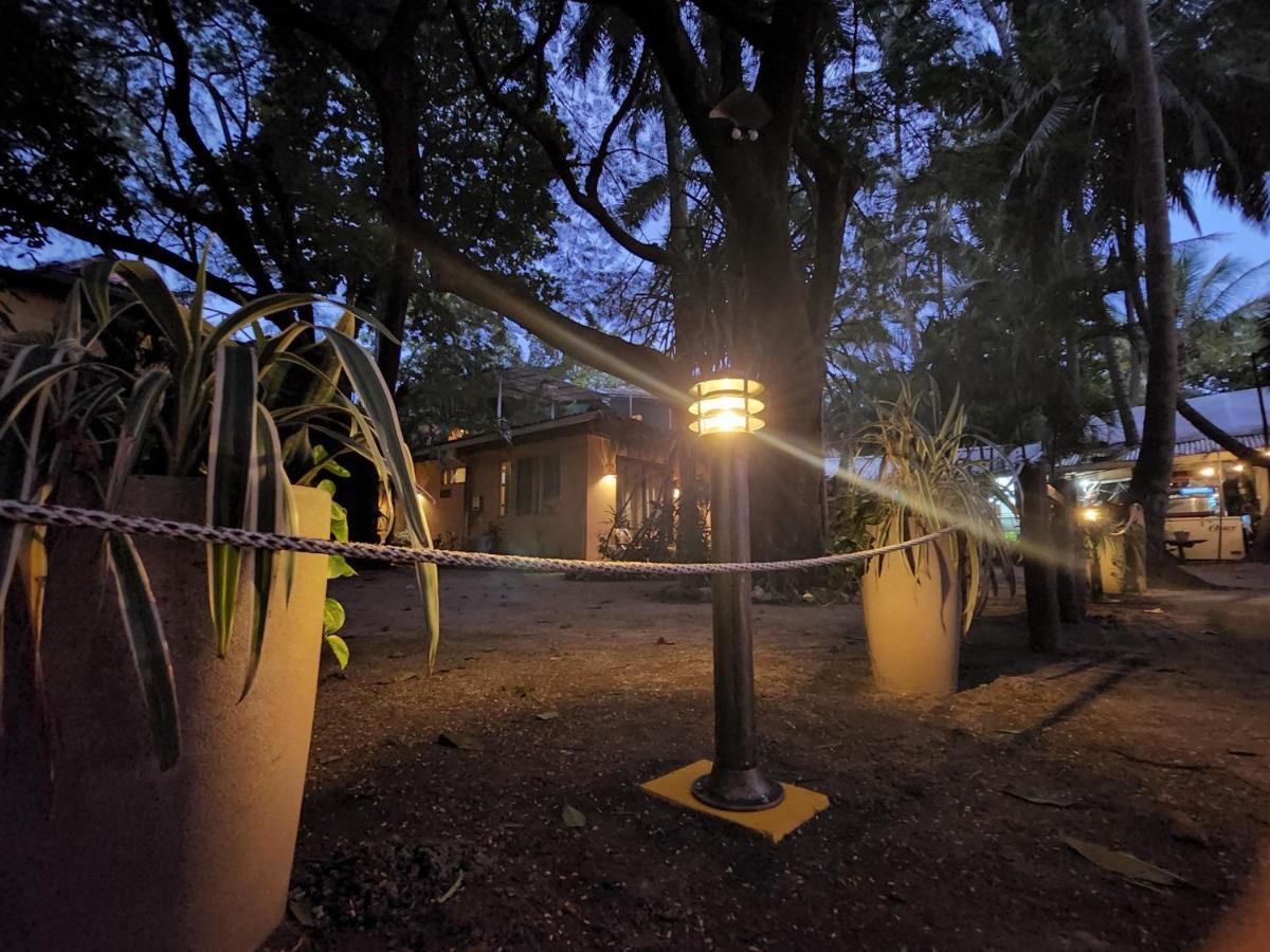 Hotel La Palapa 3*