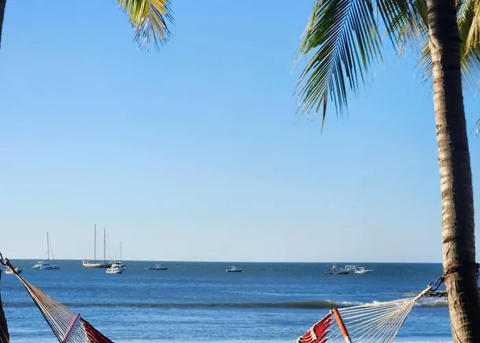 Hotel La Palapa