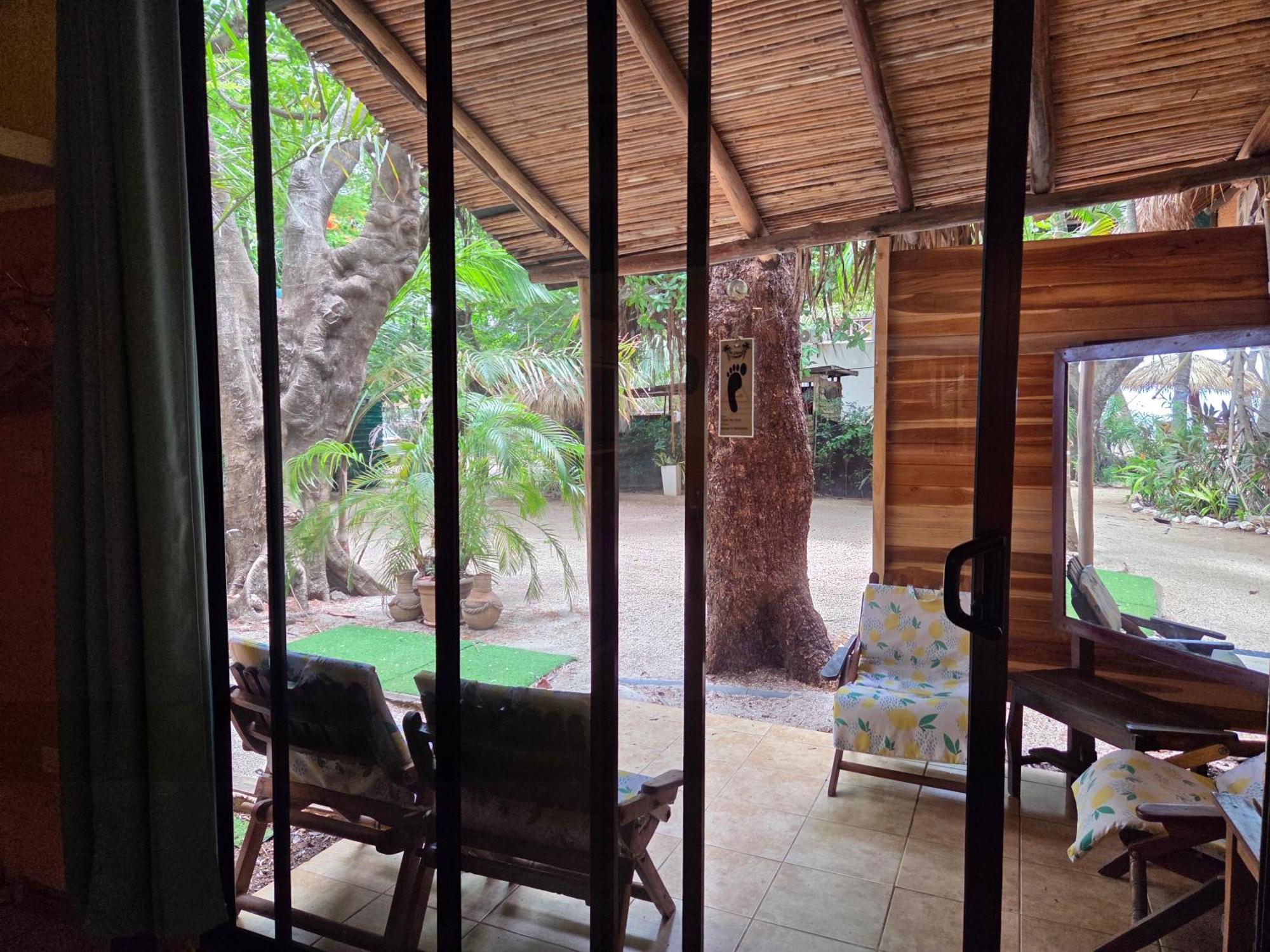La Palapa